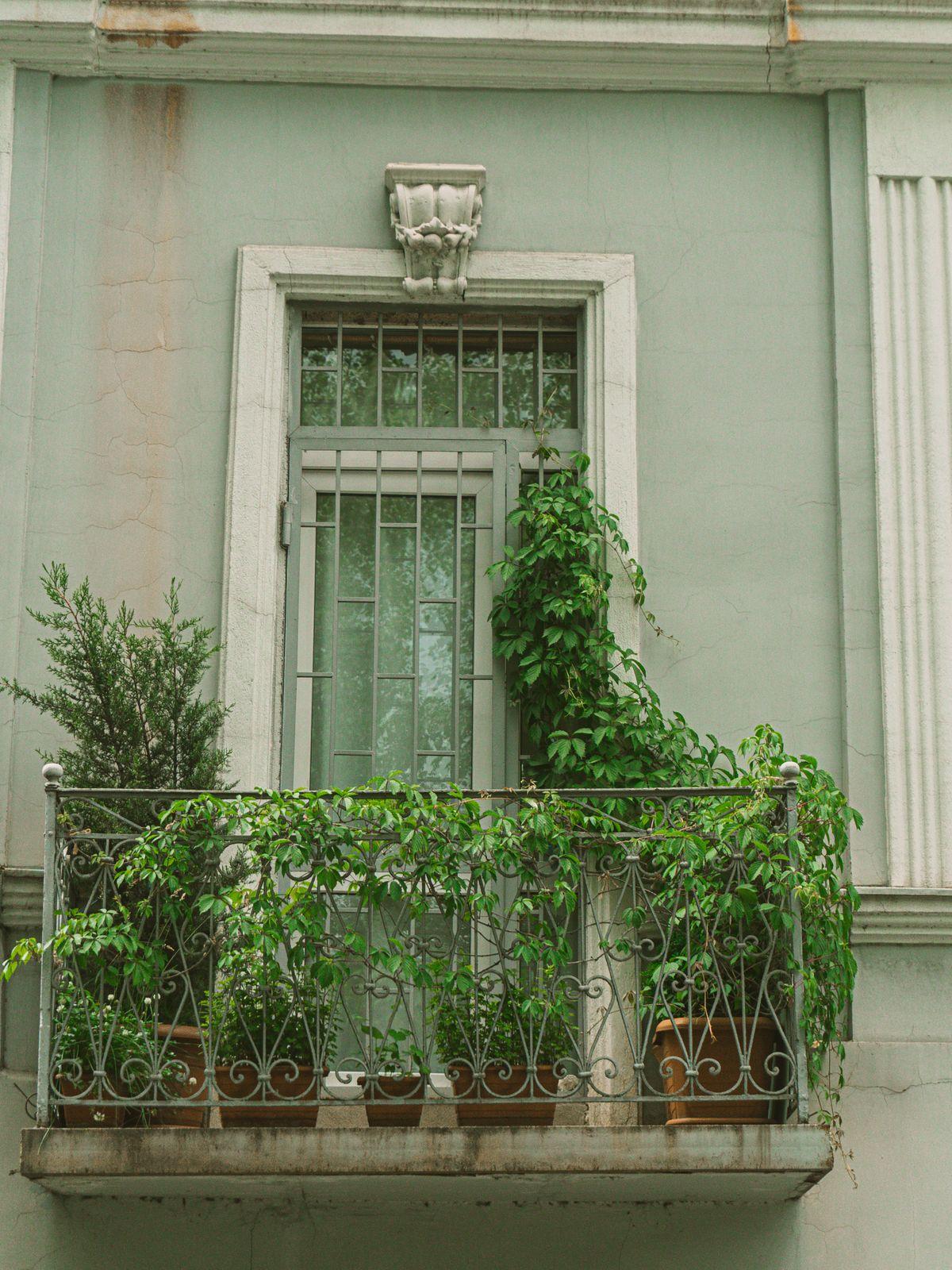 Wrought-iron balcony full of potted plants against a sage green facade