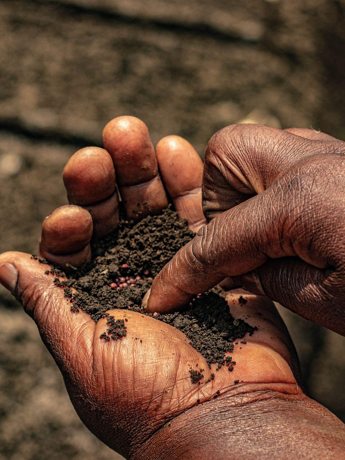 Hands holding a handful of dark, fertile soil