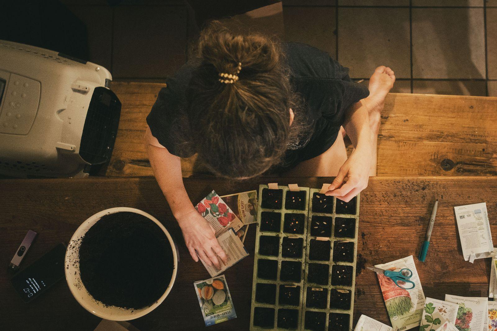 Seed sowing in a cell tray seen from above, among seed packets and potting mix